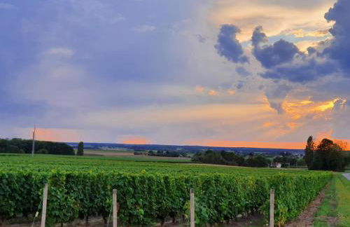 Gite de la Guernouille - Foto 28