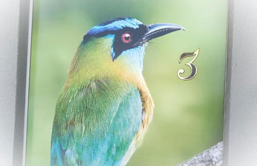 Rio Formoso Residencial - Foto 15