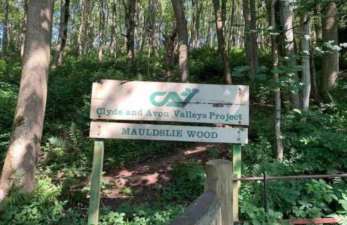 The Orchard Apartment, Clyde Valley - Foto 59