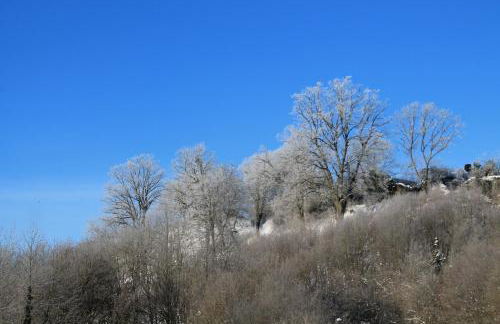 BELVEDERE Appart & Chalet - Ihr Zuhause auf Zeit am Edersee - Ihr Geschenk die GästeCard GrimmHeimat - Foto 46