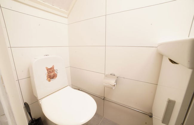 Mary Rooms - Foto 16