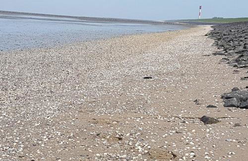 Haus am Meer Eckwarden - Foto 20