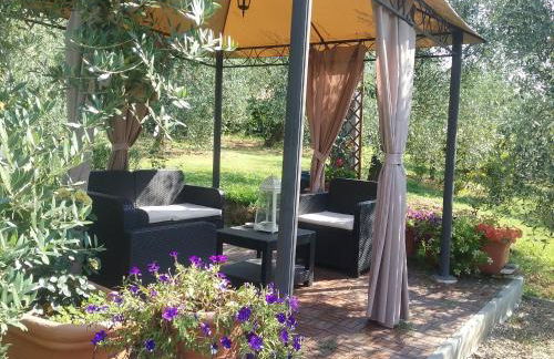 Casa Vacanze L'Oliveta - Foto 31