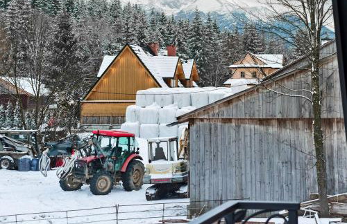 Owca za płotem - Foto 34