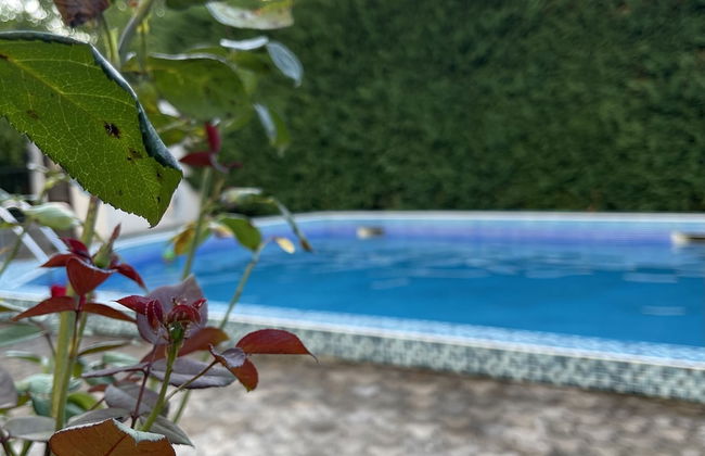 3 Bedroom Apartment With Pool - Foto 25