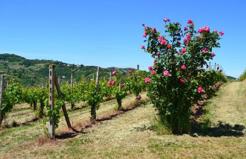 Villa Castel Rocchero - Foto 43
