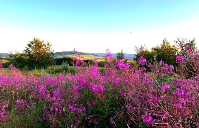 Flat Near the ski Resort in Rauschenbach - Foto 30