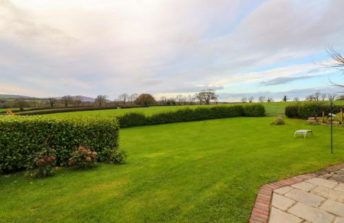 Bryn Tawel - Foto 28