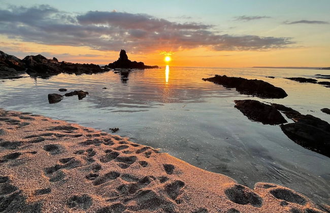 Pear Tree Cottage in South Milton - Foto 22