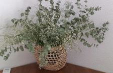 Casa Doris - Foto 11