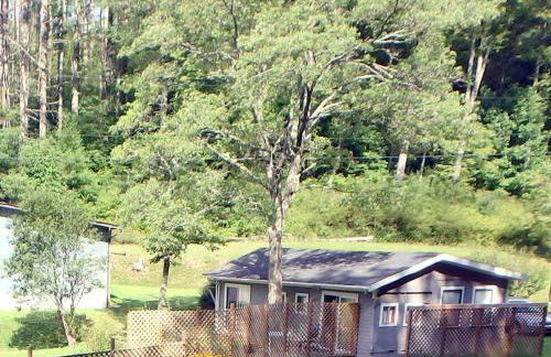 Nantahala Spiritual Retreat - Remote and Peaceful! - Foto 23