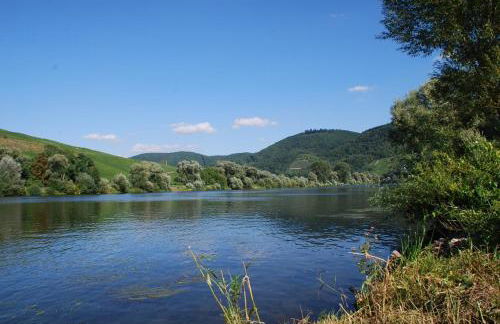 Roussel Hotel Restaurant - Photo 21