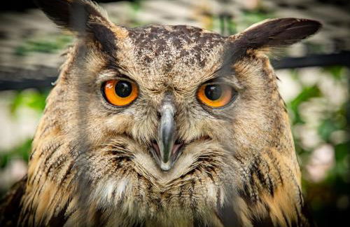 Gite La Folie - Foto 18