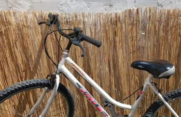 A Casa do Barqueiro- Alentejo - Foto 23