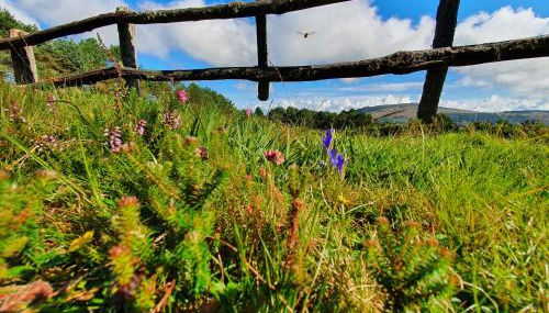 ALOJAMIENTOS EL CASTRO - Foto 2