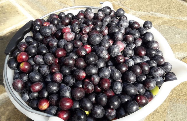 Family Apartment Kocevar - Foto 47