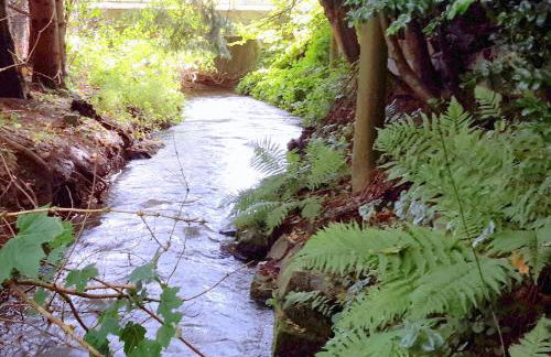 Ferienwohnung am Ellerbach - Foto 24