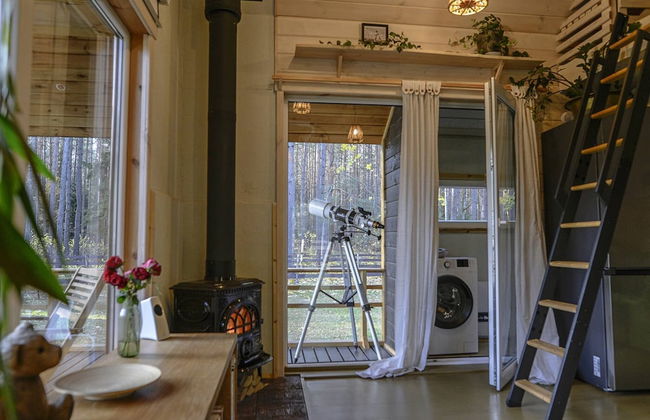 Metai Miške&a Year in the Forest - Photo 9