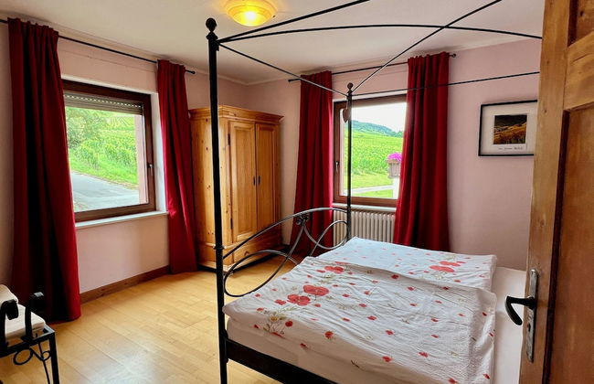 Ferienweingut Matthias Löwen - Foto 11