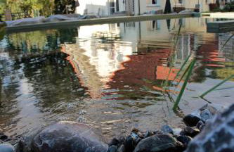 Ferienhof Stärk - Foto 23