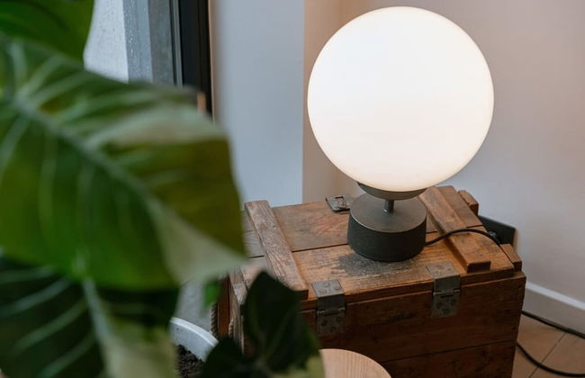 BE ANT Zons 35 in Antwerpen - Photo 50