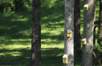 La Jolie Vie - Foto 65