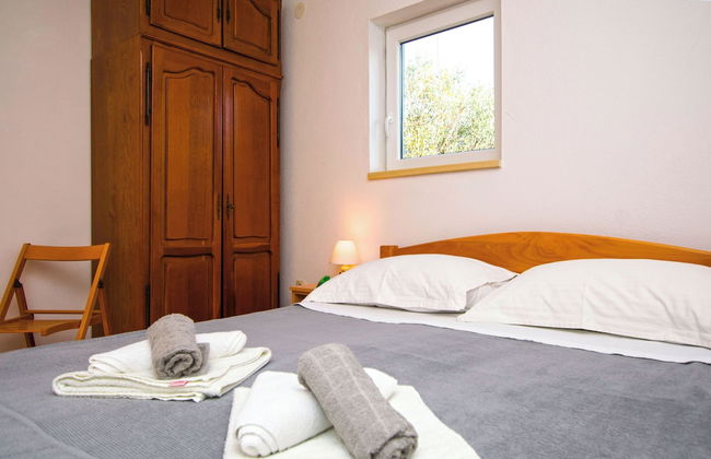 House Pansy - Foto 3