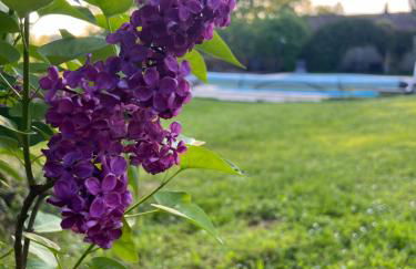 La Colline de Tilleul - De La Colline 4 STAR RATED - Beautiful Cottage Near Aubeterre - Foto 43