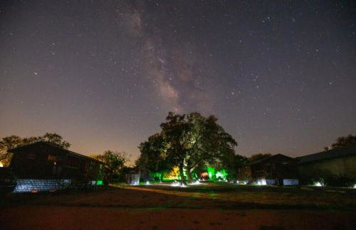 El Castell & El Castellito - 4 Cabins & 1 House - Photo 14