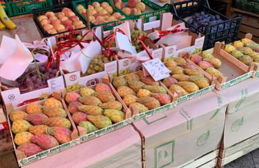 Casa Marconi - Foto 47