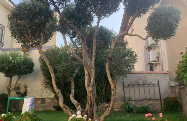 Casa Real - Photo 18