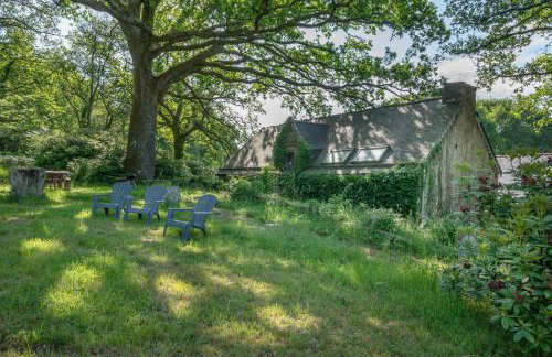 Gîte typique pour 6 à Rochefort-en-terre - Foto 22