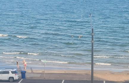 Embrace the refreshing breezes! - Foto 8