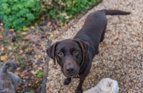 Plumcot Halt by Bloom Stays - Foto 16