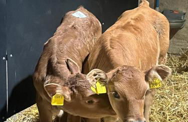 Campbell's Cottage - Foto 3