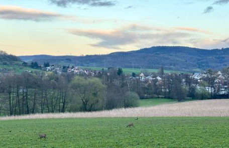 Odenwaldpanorama - Foto 26