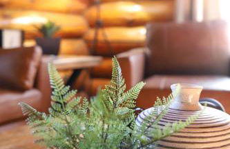 Historic Log Cabin #14 at Horse Creek Resort - Foto 12