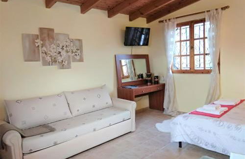 Outstanding Panoramic View, 10΄ Beach, 20΄ Airport - Photo 8