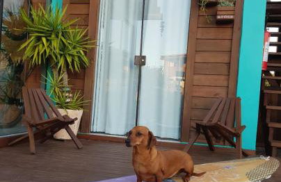 Villa Rosa e Mar - Praia do Rosa - Foto 15