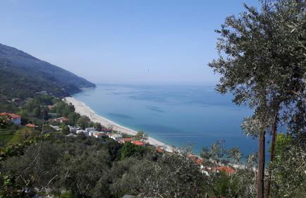 Dovas house - Foto 32