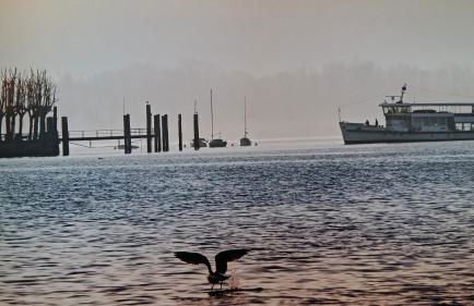 A Casa di Ale Lago Maggiore Private outdoor sauna - Foto 23