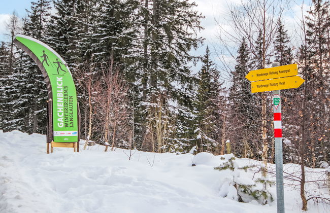 Urgbach Apart - Photo 37