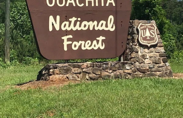 The Bear Den - Foto 60