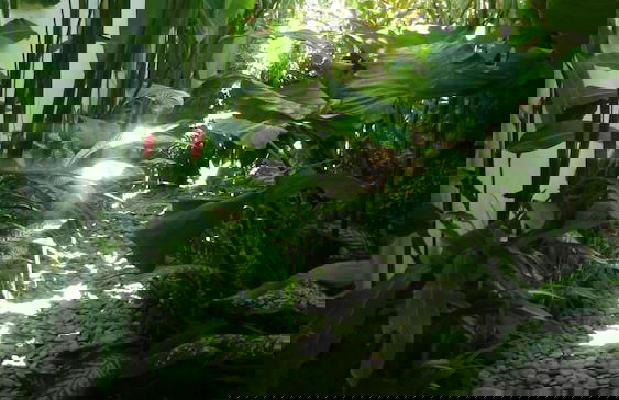 Nusa Indah Villa - Foto 35