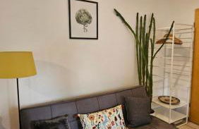 Holiday Everyday - Urlaubsparadies mit 2 Fahrrädern - Foto 7