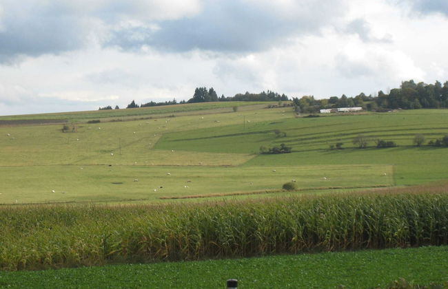 Traumhaftes Feriendomizil fur Familien - Foto 37