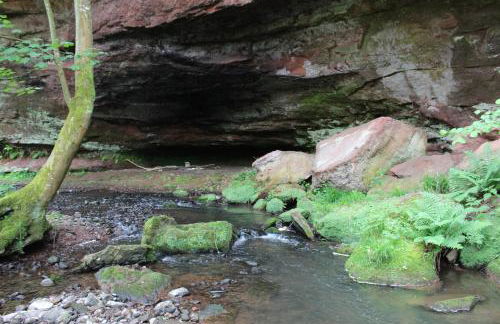 Gästehaus Herrenmühle - Foto 19