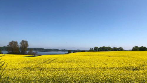 Ferienwohnung Ankerplatz 43 im Olympiazentrum Schilksee - Foto 2