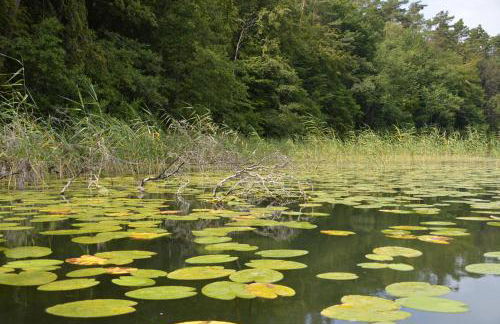 Stolpseeblick - Foto 13