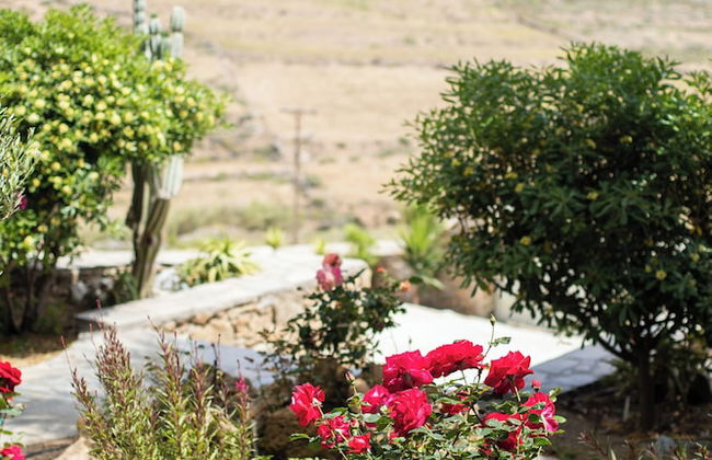 Levantes House Mykonos - Photo 36